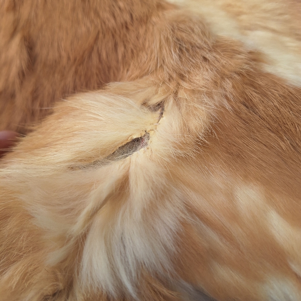 Real Rabbit Fur Tan Jacket - Picture 5 of 7
